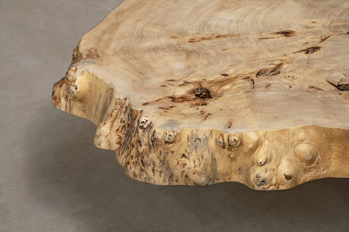 Chloe Wood Coffee Table